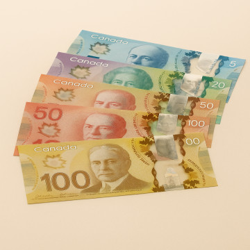 Fake Canadian Dollars